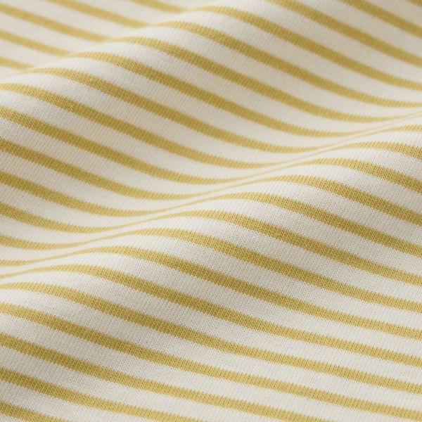 オーガニックコットン　クルーネック半袖Tシャツ